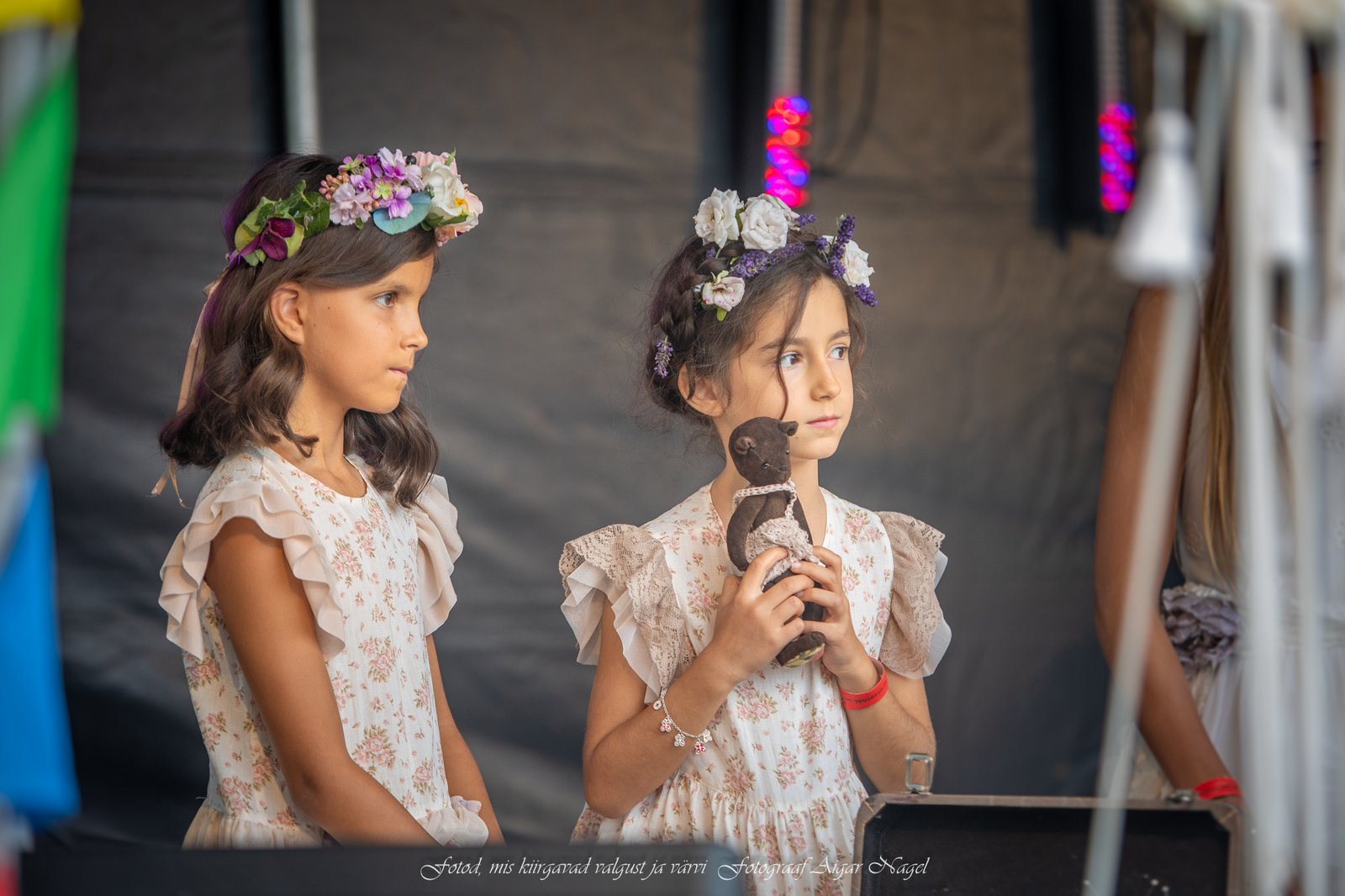 Emmaroos väikesed failid Foto Aigar Nagel (16)