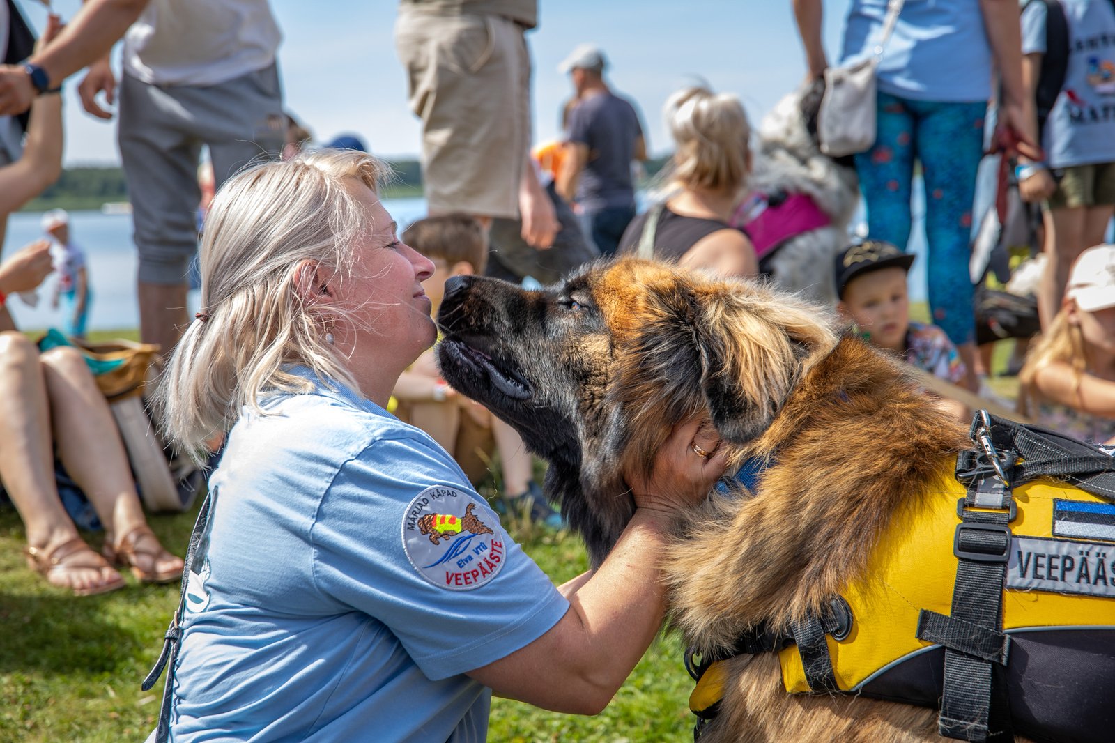 Veepääste koerad Tamula Facebooki (1 of 33) Fotod Aigar Nagel (31)