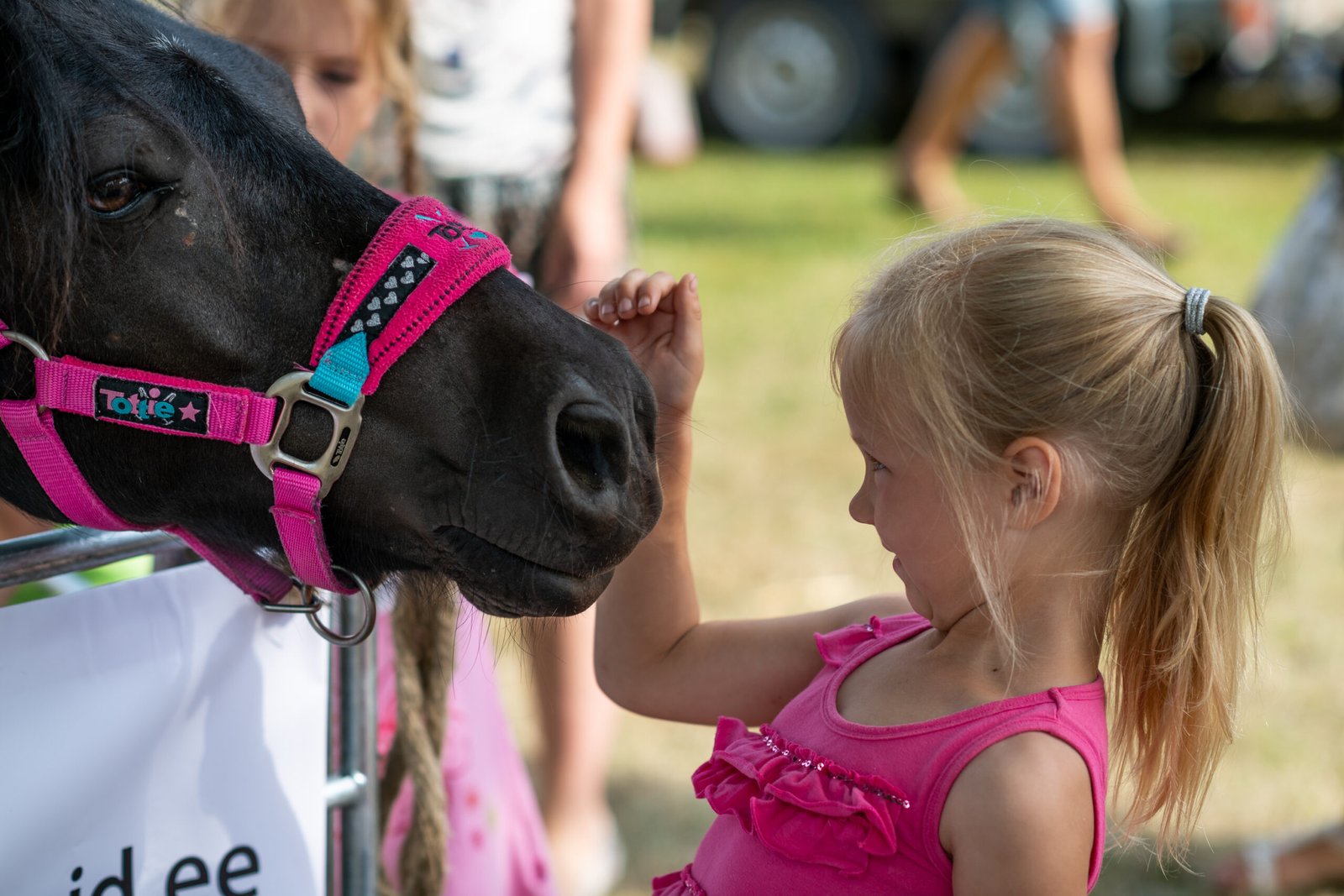 lastefestival2018-4188